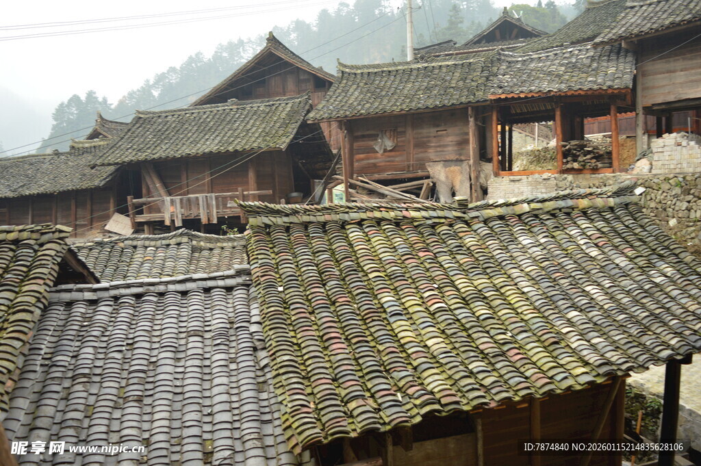 古朴村落瓦房屋顶景象