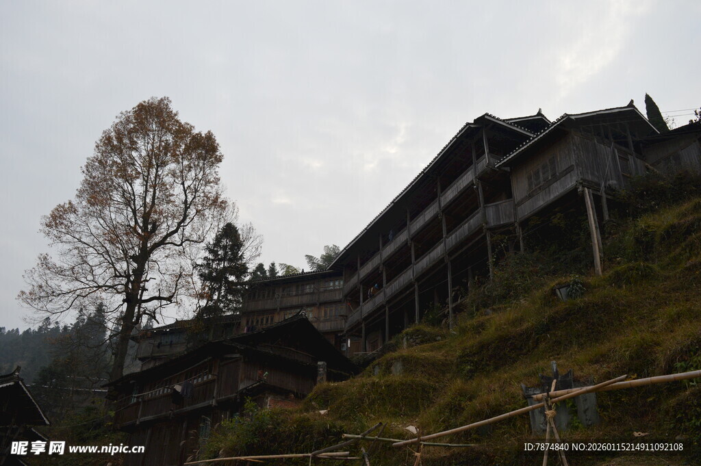 山间古朴木屋与孤树