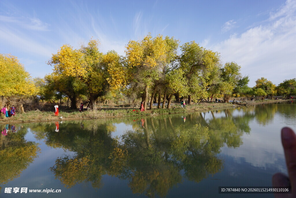 湖畔秋景 树影倒映于碧水
