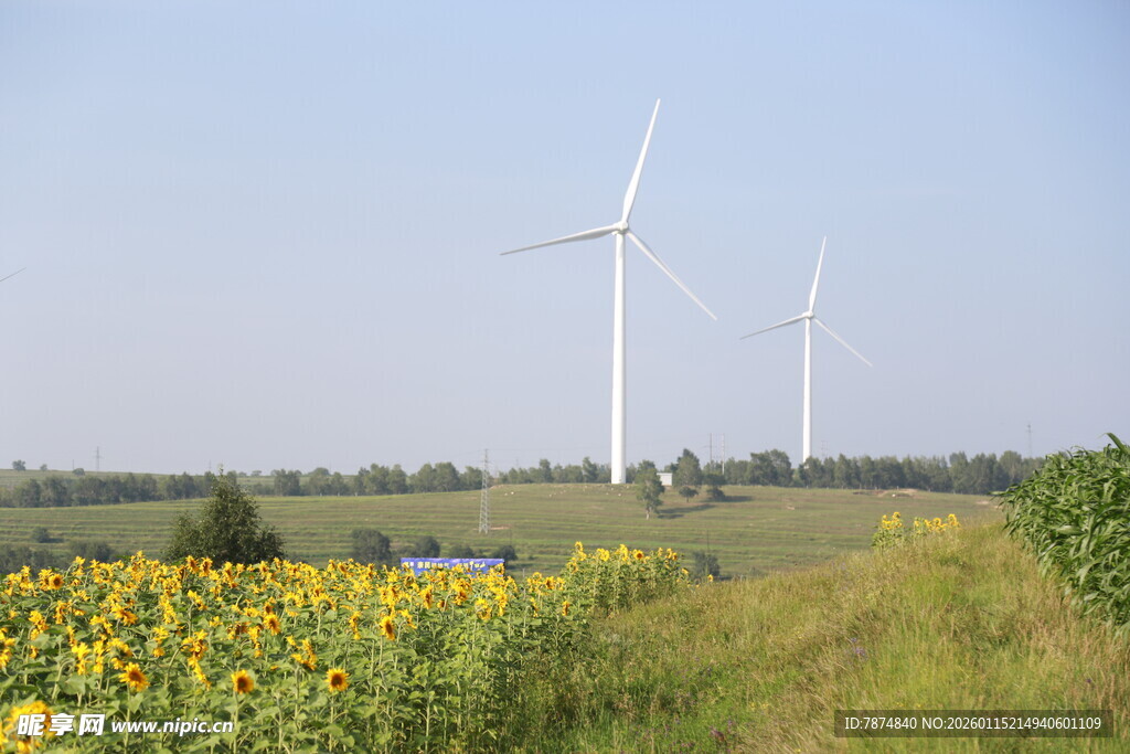 田野中的风车与向日葵