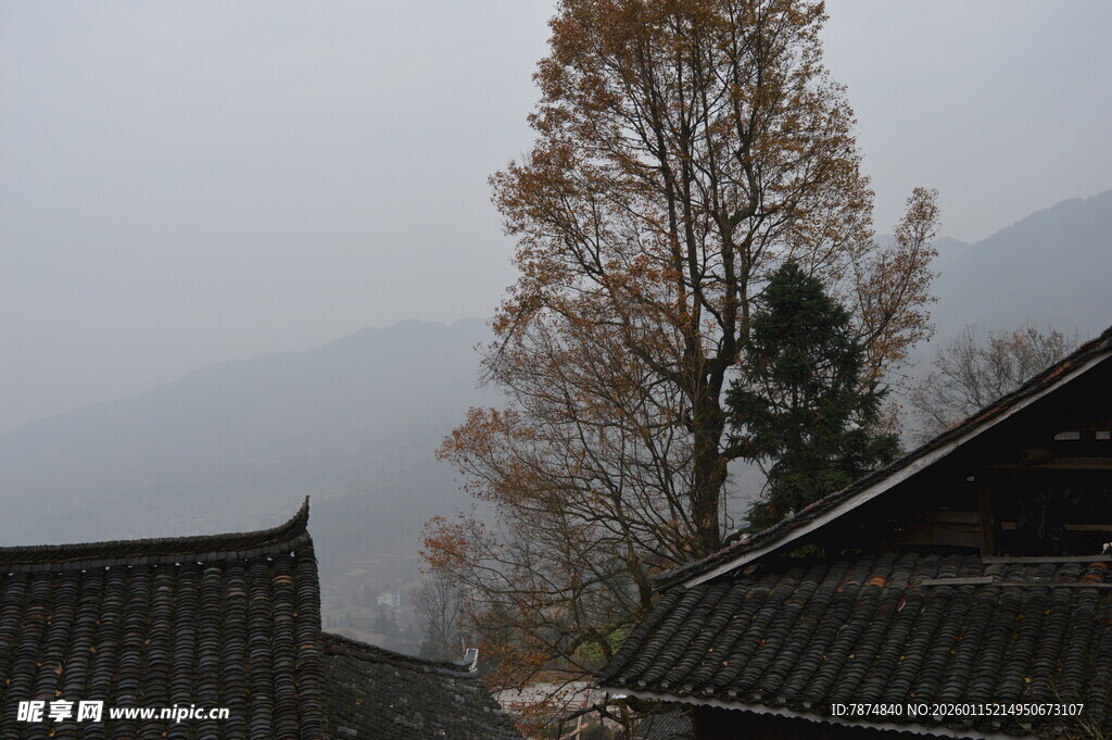 古村秋景 屋舍与孤树