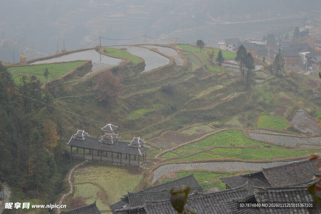 雾中梯田村落美景