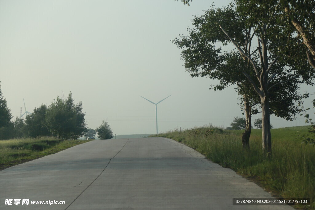 乡间公路 绿树相伴