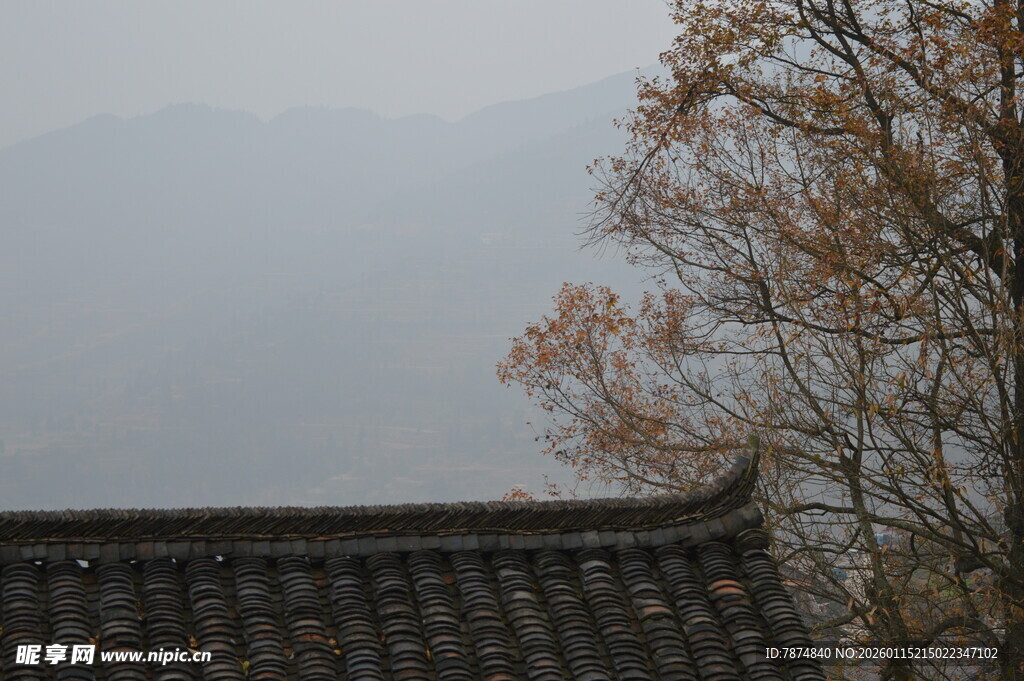 古屋顶畔 秋树远山朦胧景