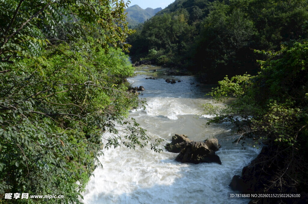 山间溪流 绿意环绕的美景