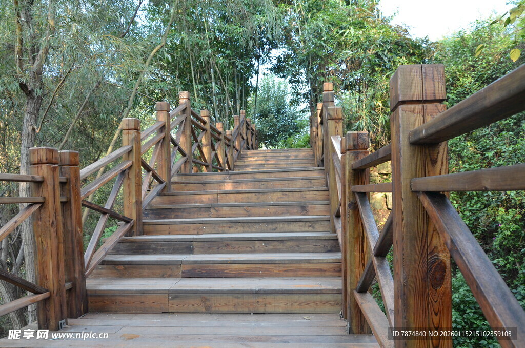 林间木质阶梯步道
