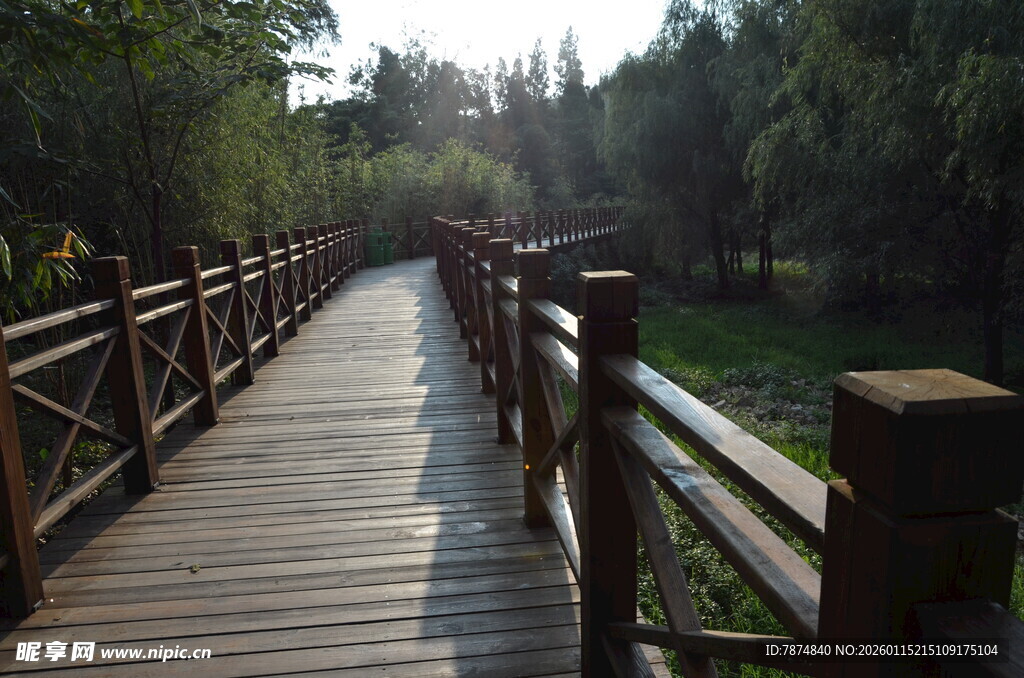林间木栈道