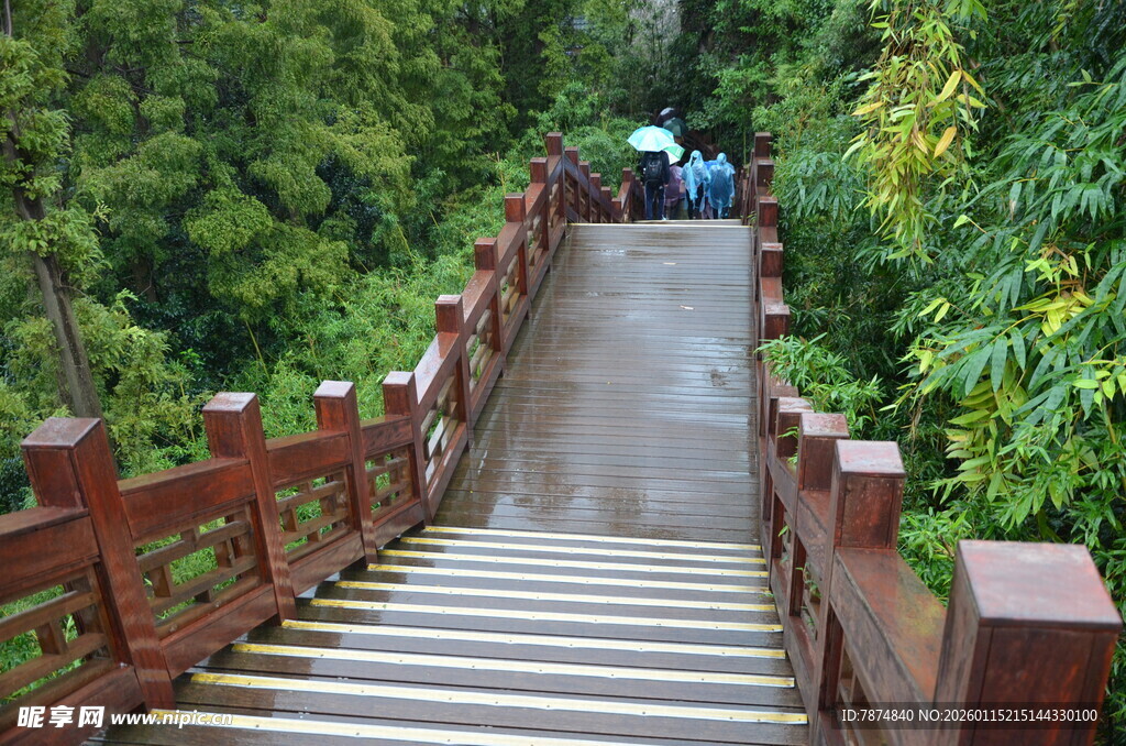 山林间的木质步道