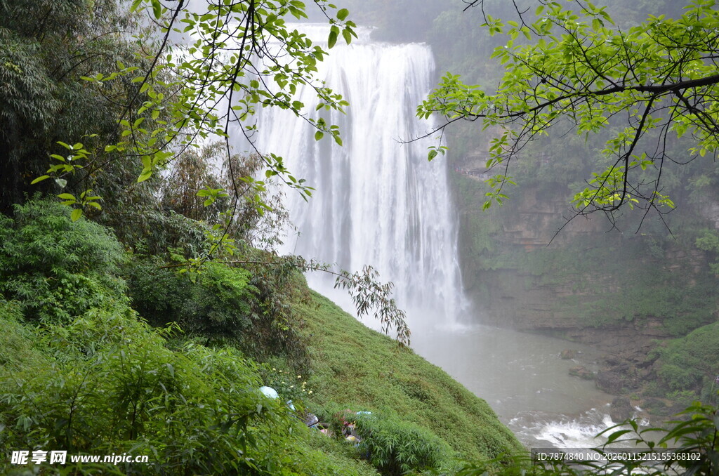 山间瀑布旁的葱郁景致