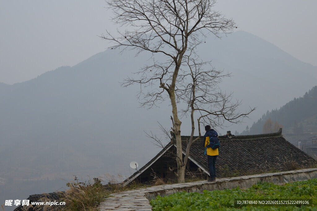 山间小屋旁的孤树