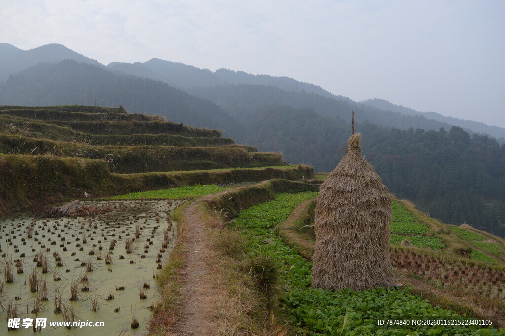 山间梯田与稻草堆景观