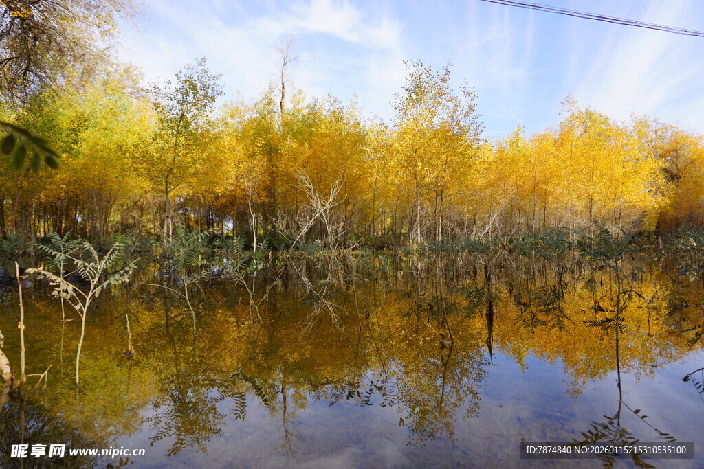 秋日湖畔金黄树林倒影