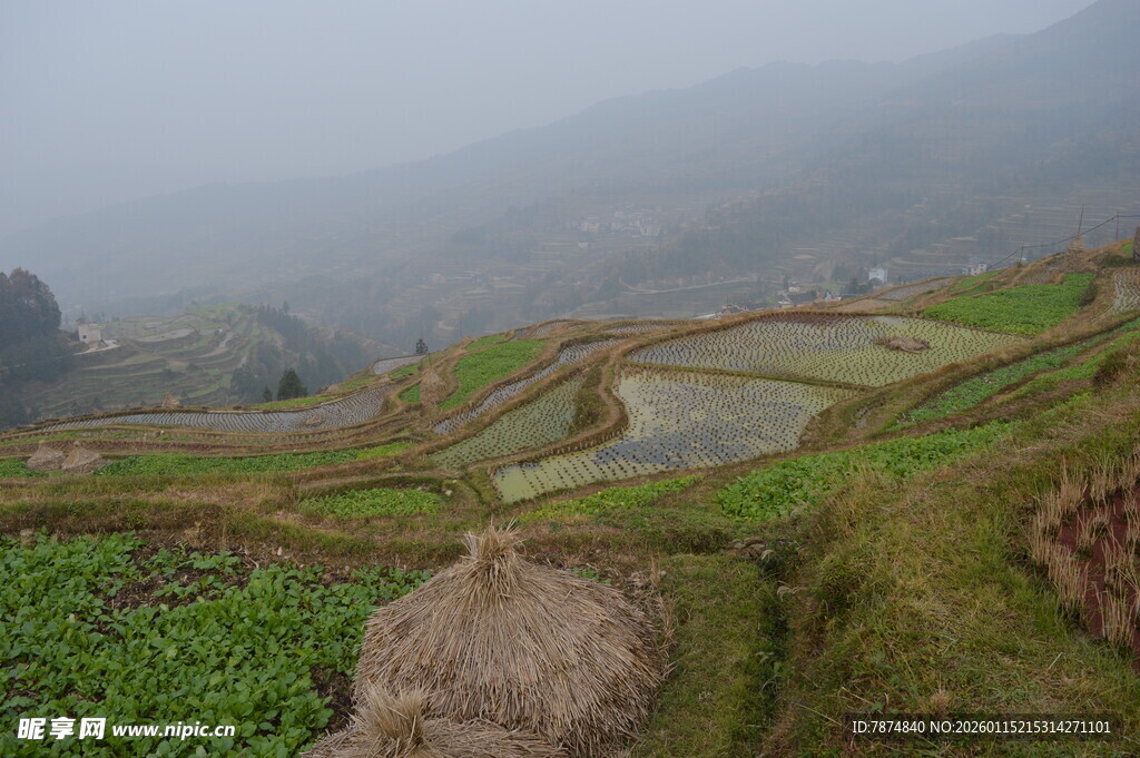 雾中梯田美景