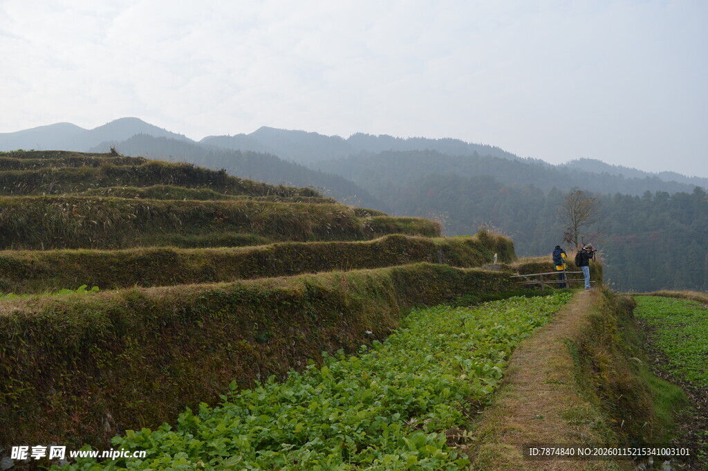 山间梯田小道与劳作身影