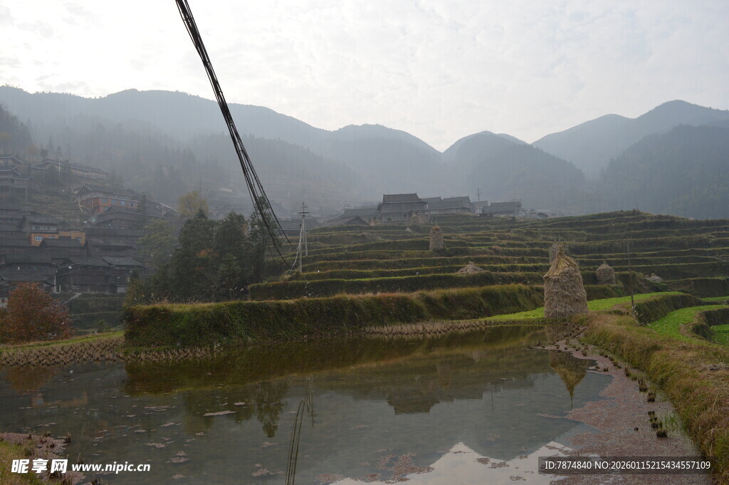 山间水田 朦胧雾色美景