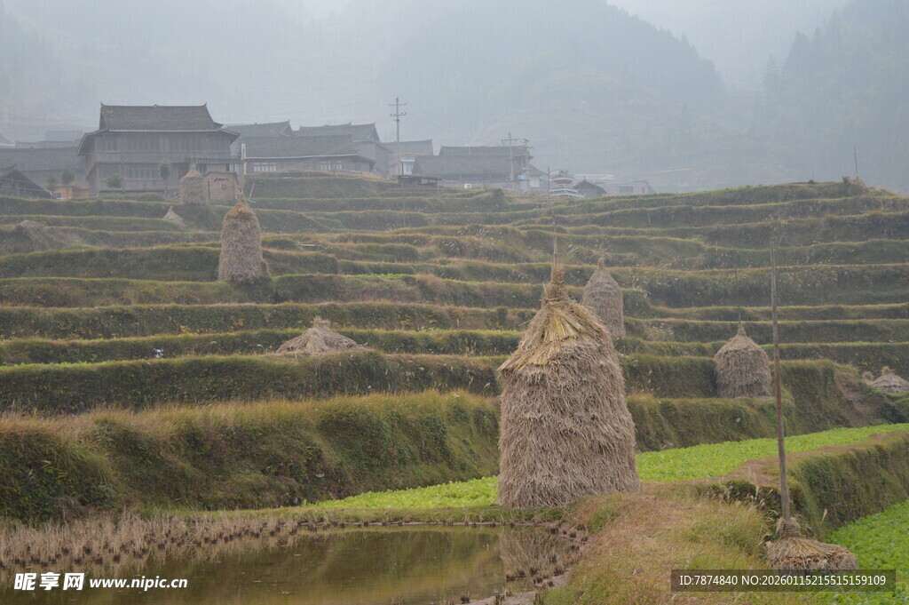 雾中梯田与古朴村落