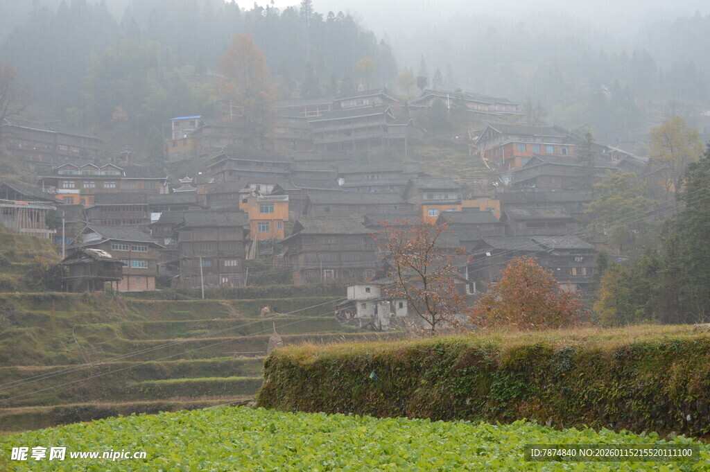 雾中梯田村落景观