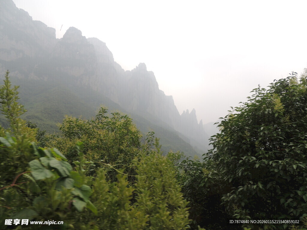 山间绿植与朦胧远山