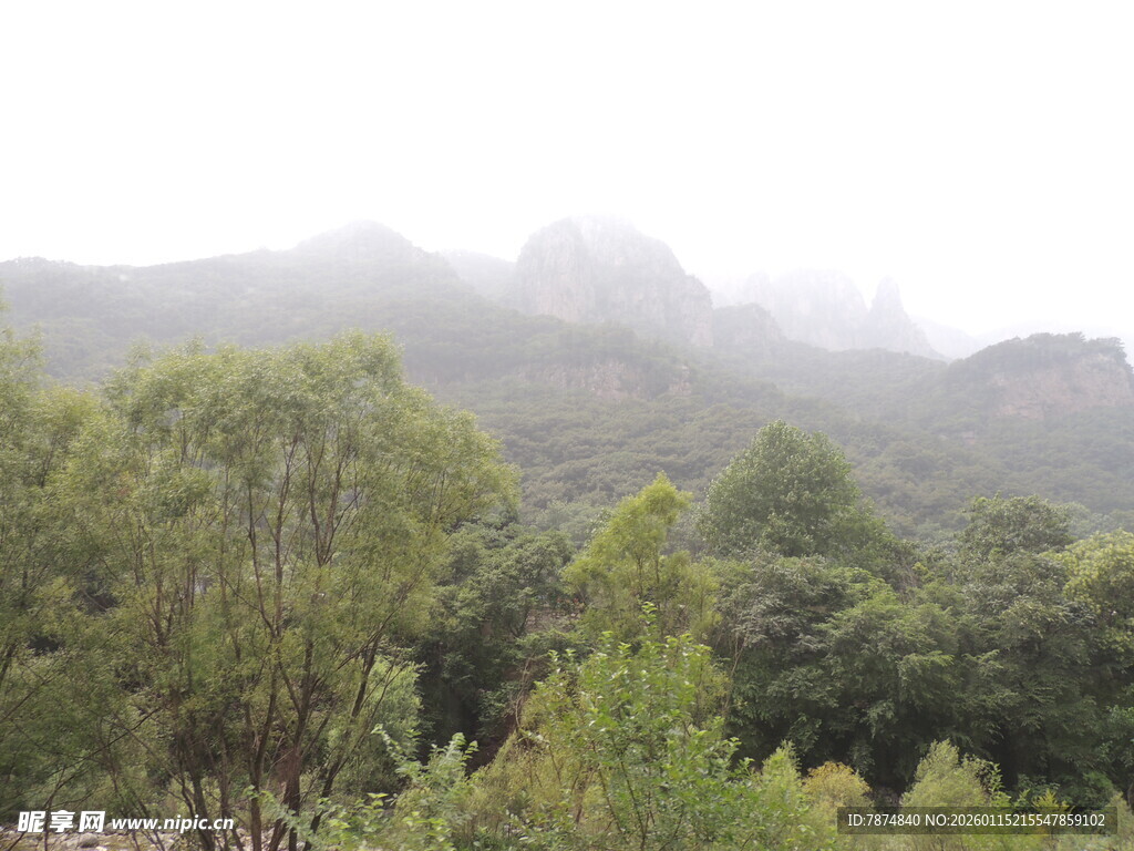 雾中葱郁山林景色