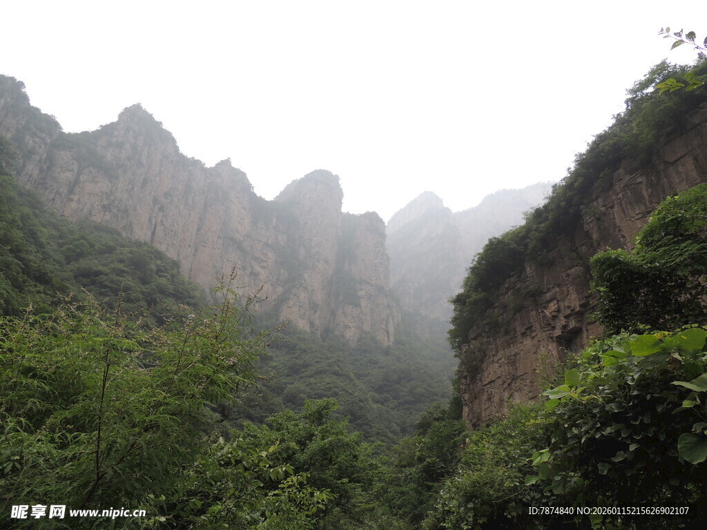 山间绿意盎然的壮丽峡谷