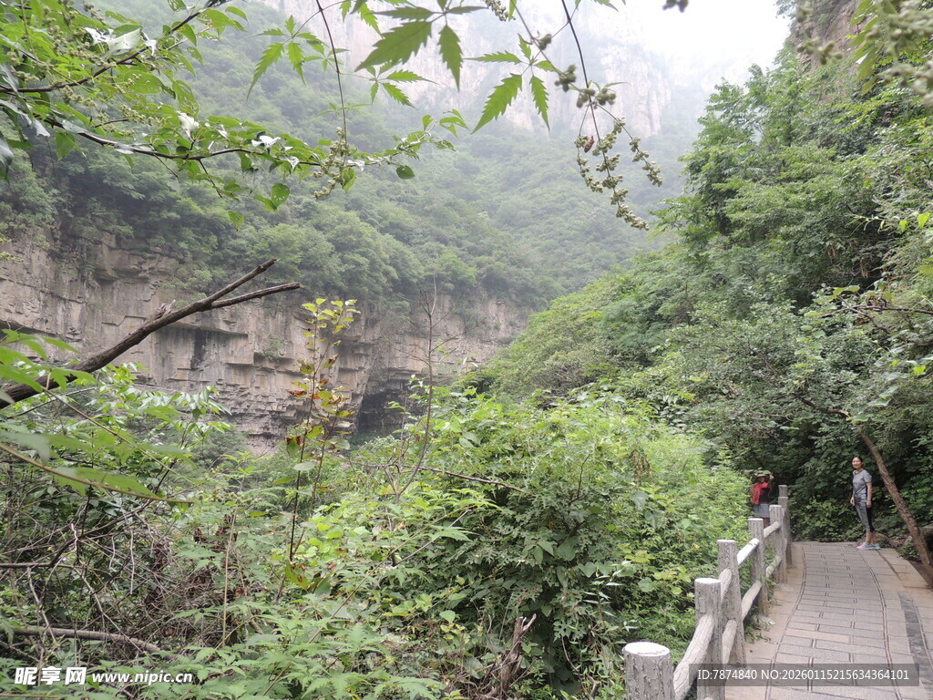 山间幽径 绿意盎然的景致