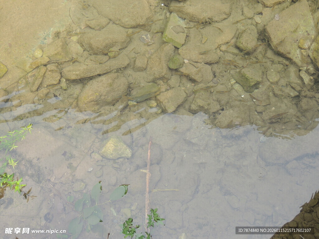 水底的岩石与绿色植物