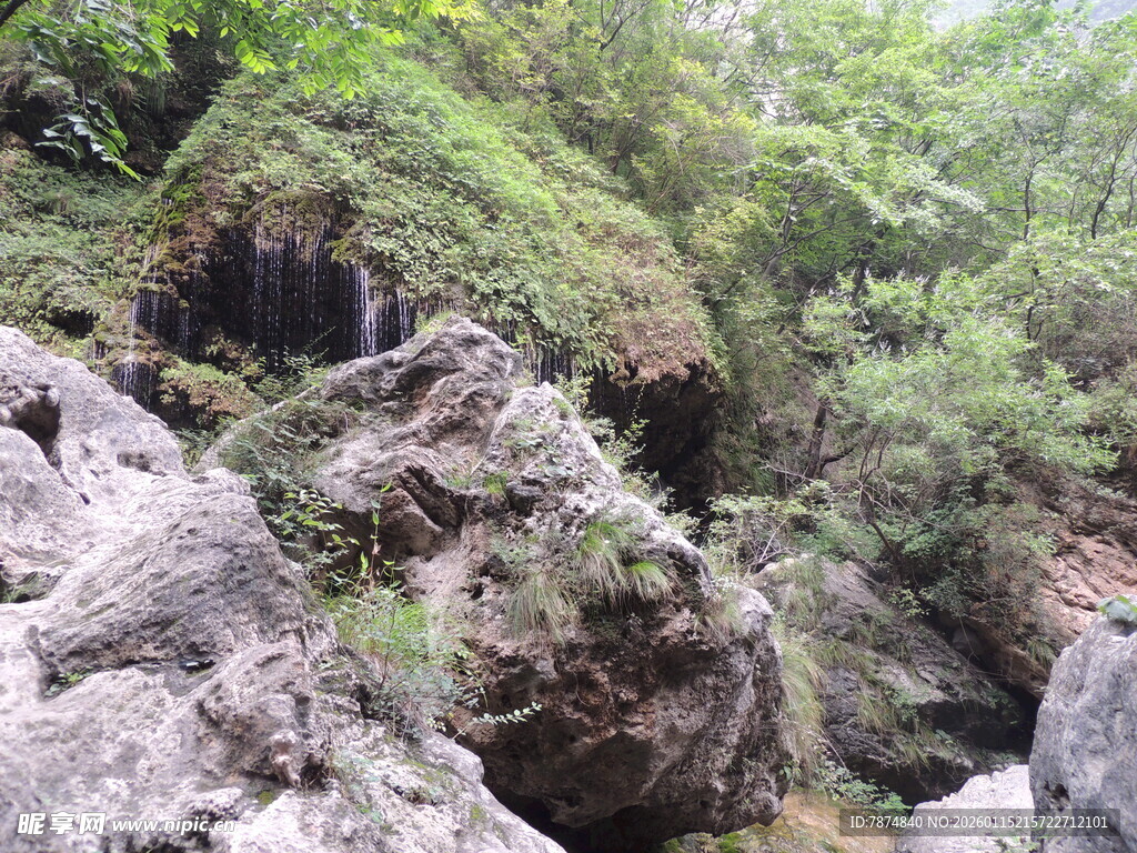 山间岩石与繁茂绿植