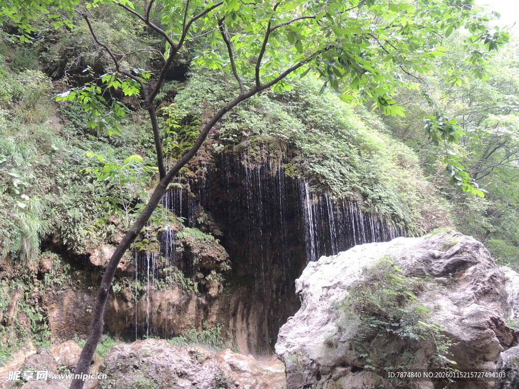 山间瀑布旁的葱郁景致