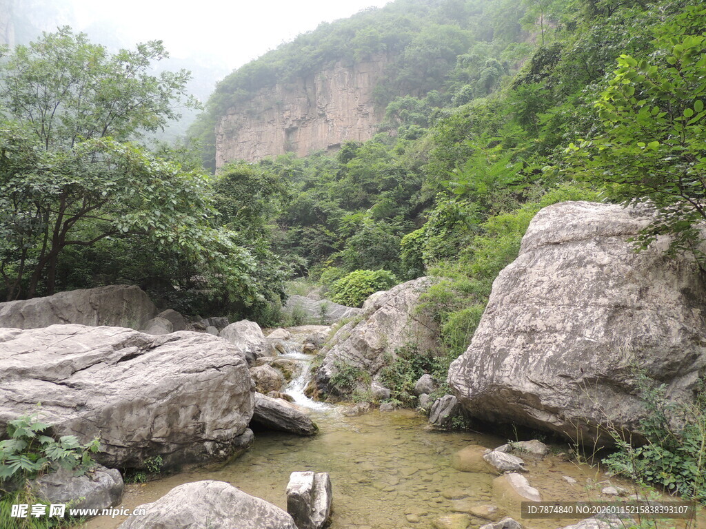 山间溪流旁的自然景致
