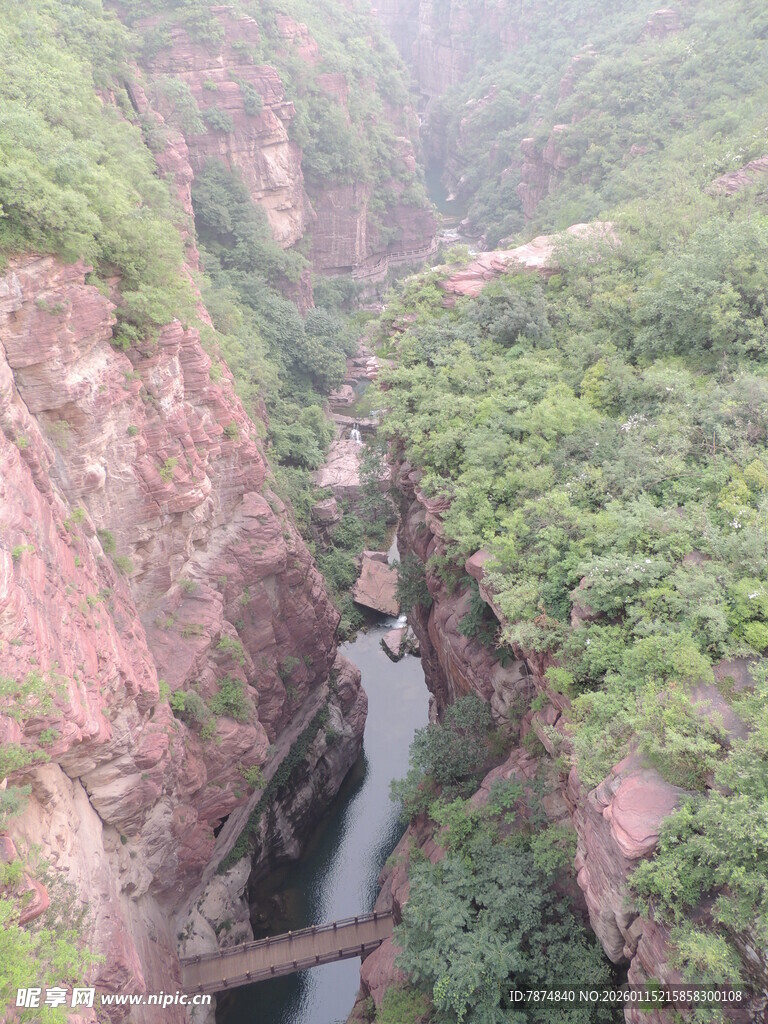 峡谷溪流间的翠绿景致