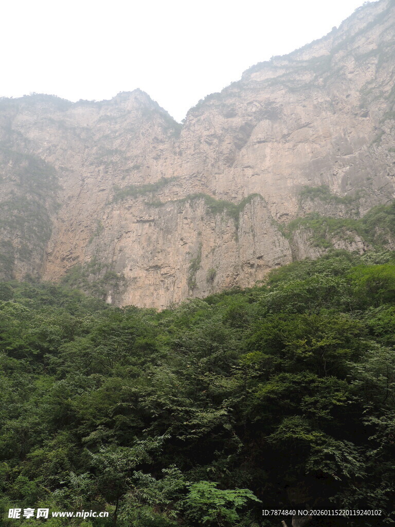 山峦叠翠间的葱郁植被