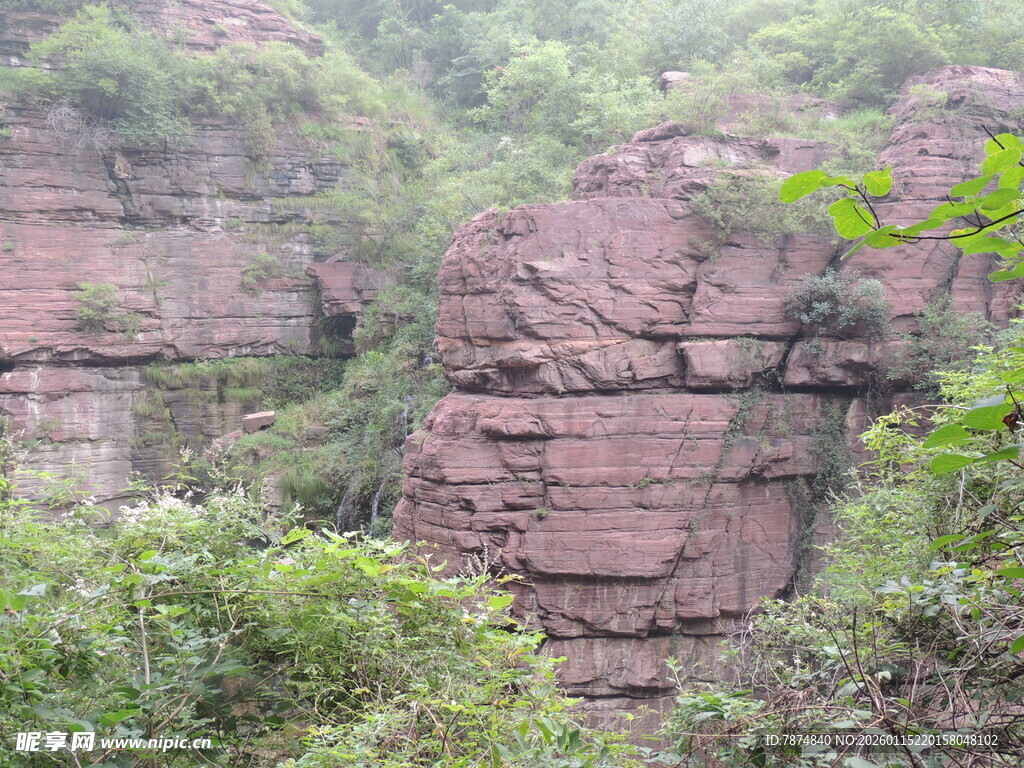 红岩峭壁间的绿意生机