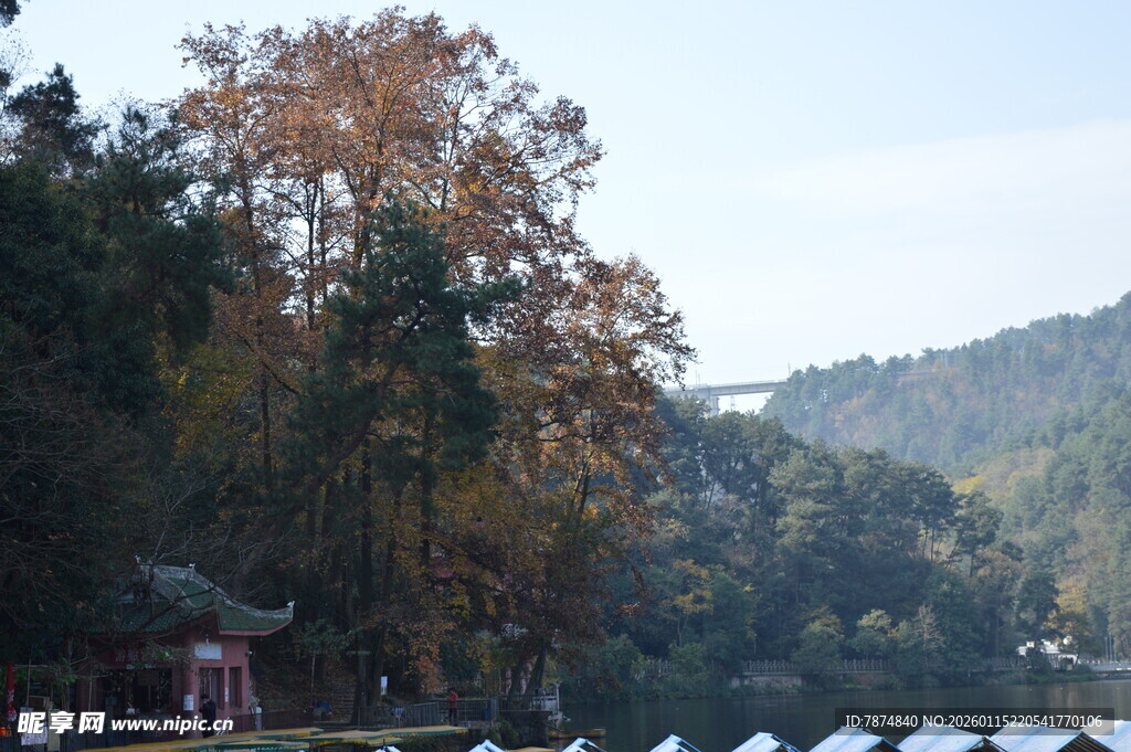 湖畔山林美景