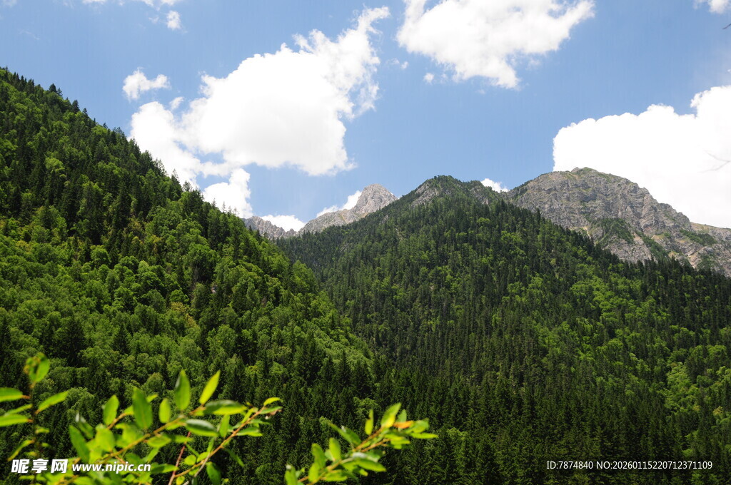 青山葱郁间的壮丽山景