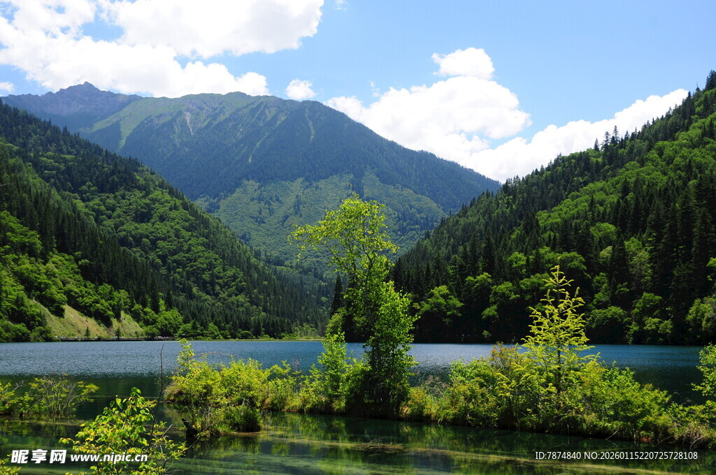 青山绿水间的静谧湖泊