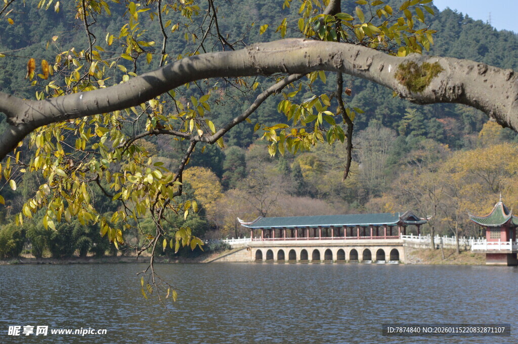 湖畔古建旁的秋日景致