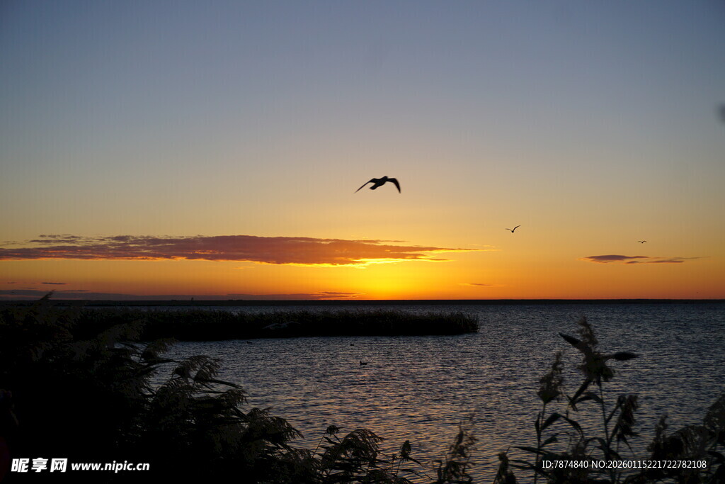 夕阳下飞鸟伴海的美景