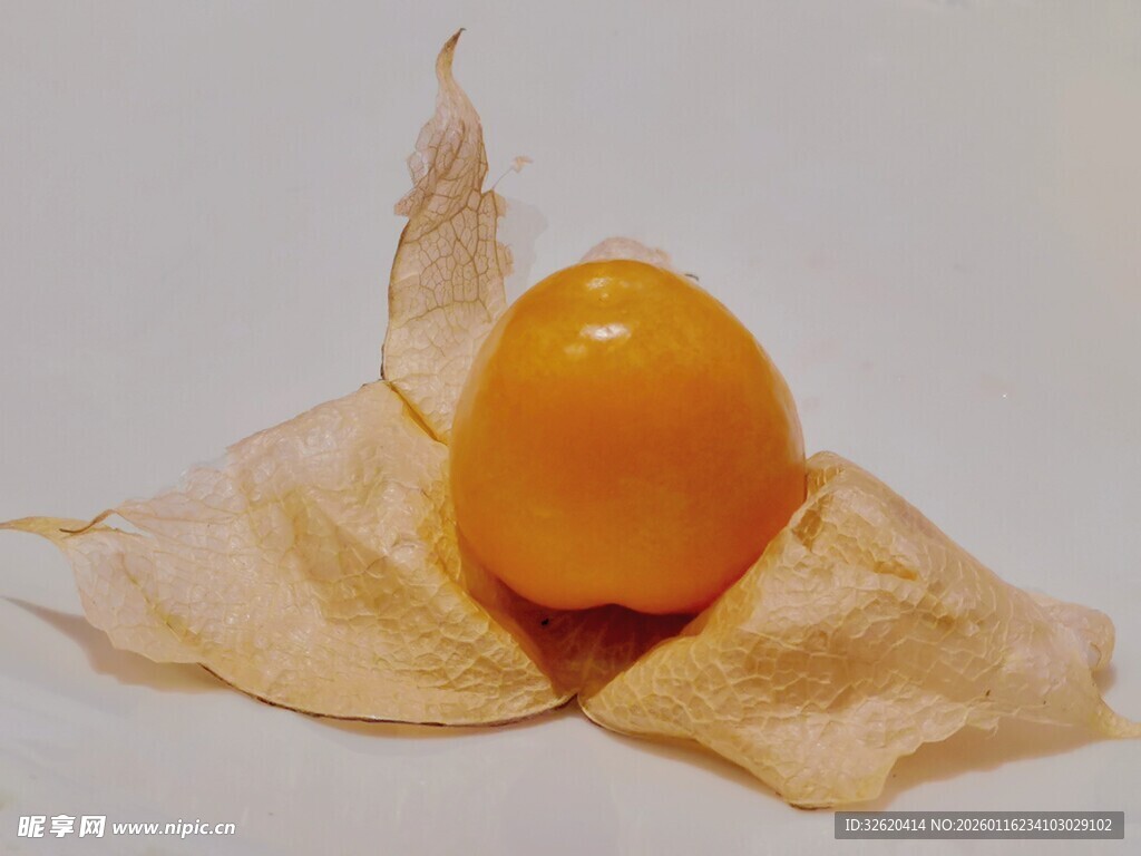 灯笼果
