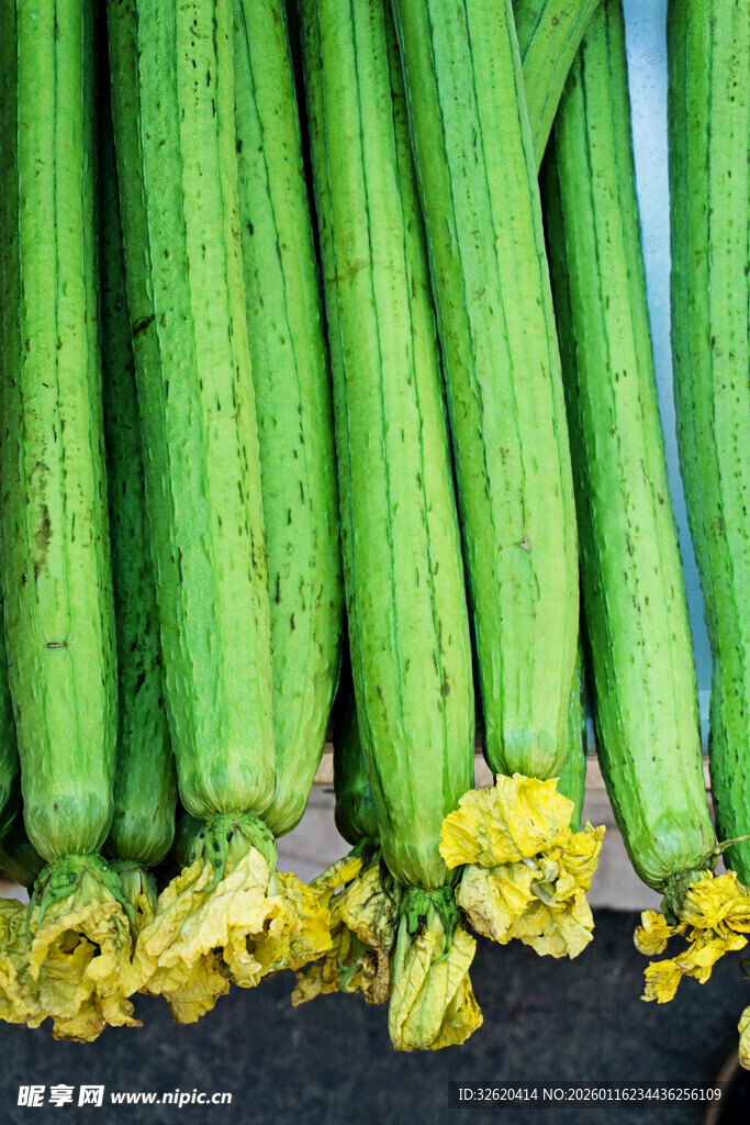 丝瓜带花