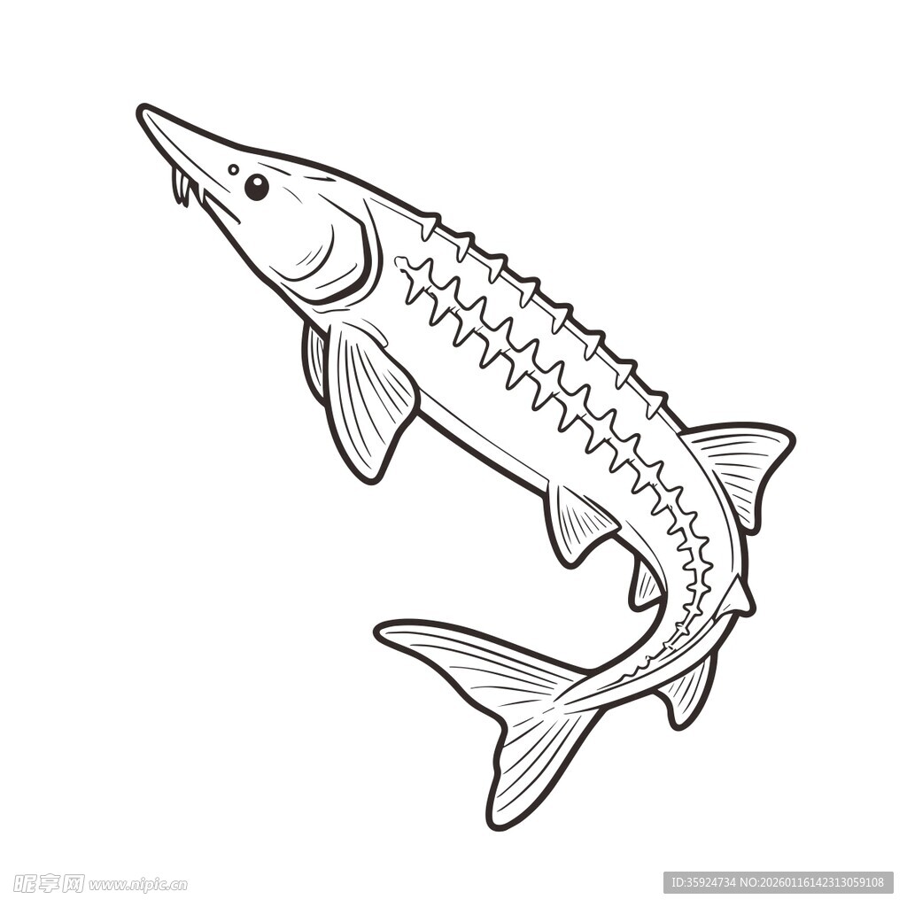 手绘中华鲟图案