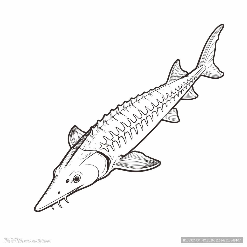 手绘中华鲟图案