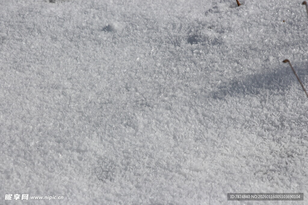 雪地景象