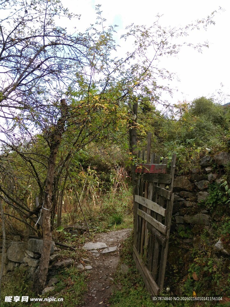 乡村小径旁的老旧木栅栏