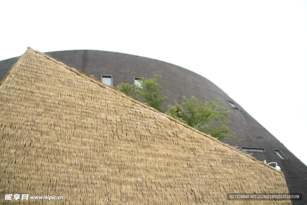 草坡与建筑结合景观