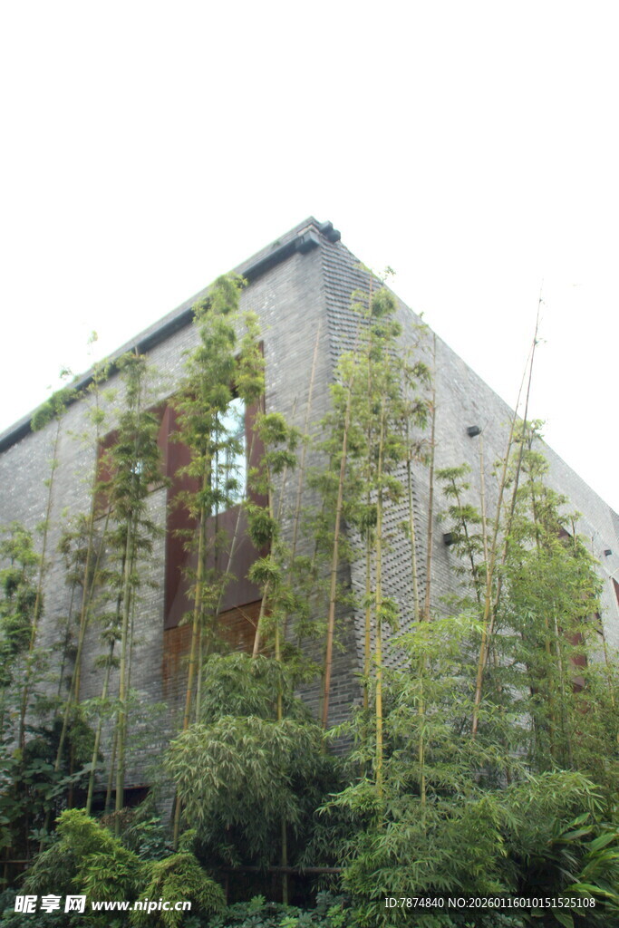 老旧建筑旁的繁茂绿植
