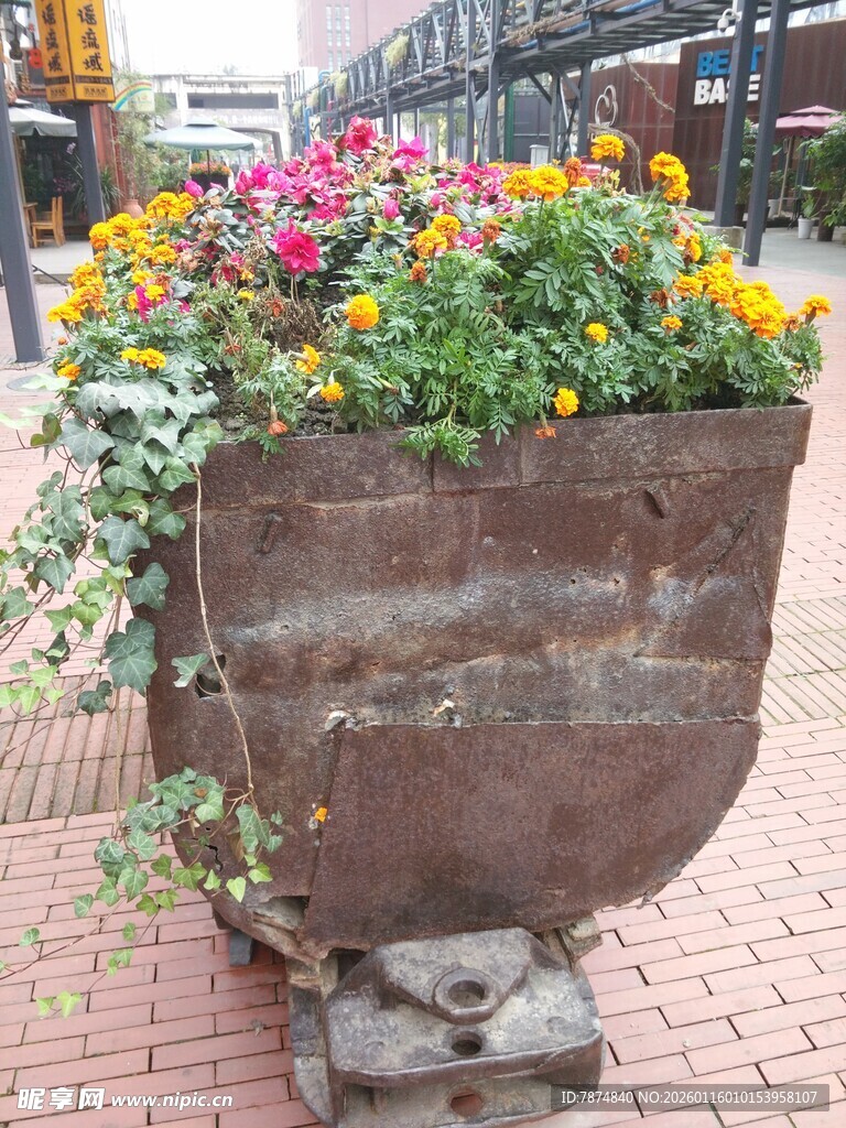 街头复古花盆装点多彩花卉