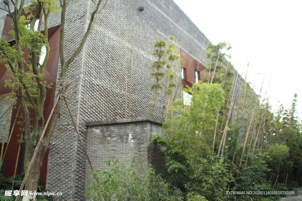废弃建筑旁的绿植景观