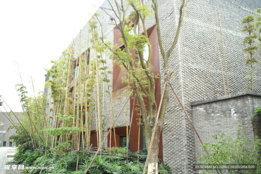 绿植覆盖的灰色建筑墙面