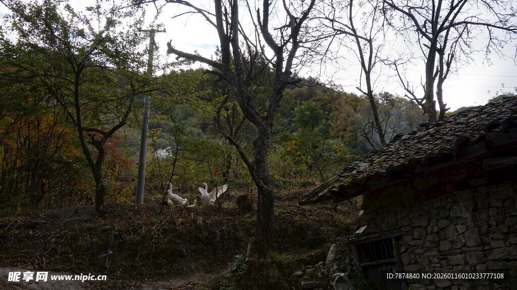 乡村旧景 静谧山林小屋