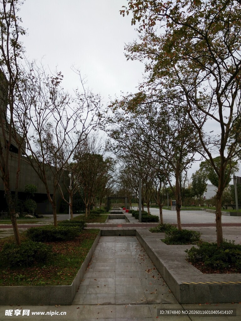 城市林荫步道景观